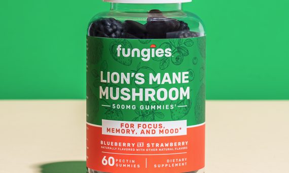 Fungies-Lions-Mane-Mushrooms-1